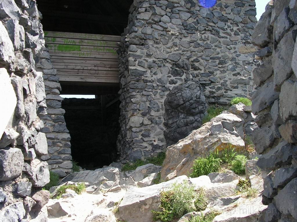 Resize_of_PICT7472.JPG
