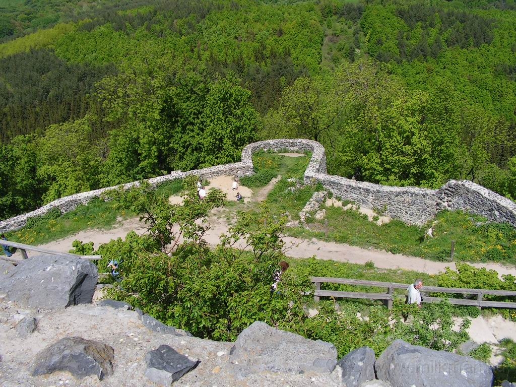 Resize_of_PICT7474.JPG