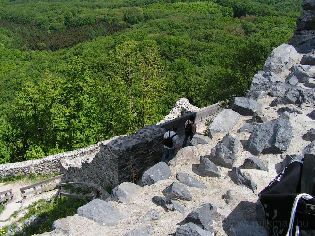 Resize_of_PICT7475.JPG