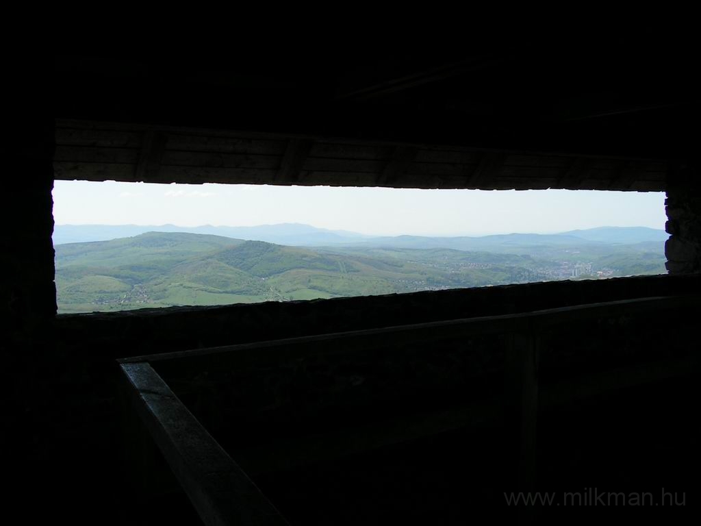 Resize_of_PICT7478.JPG