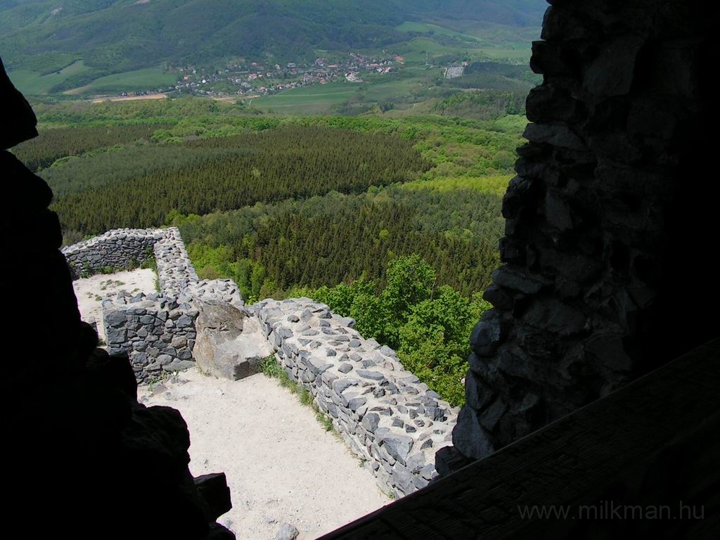 Resize_of_PICT7483.JPG