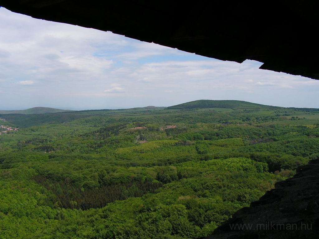 Resize_of_PICT7487.JPG