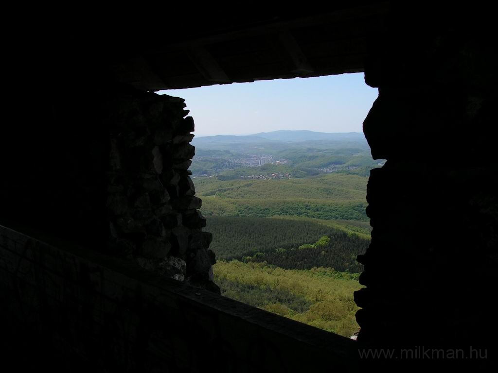 Resize_of_PICT7491.JPG