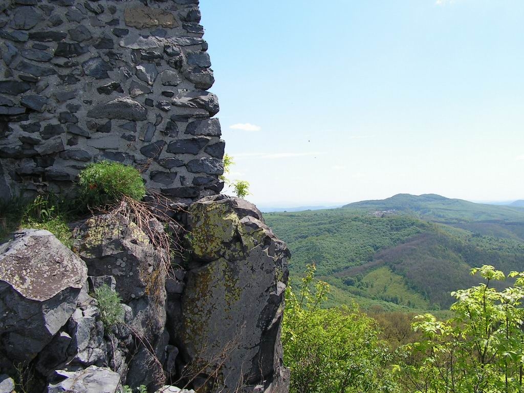 Resize_of_PICT7507.JPG
