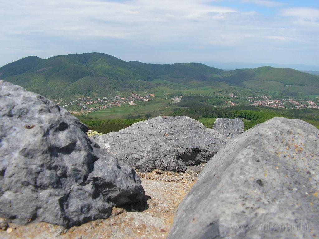 Resize_of_PICT7530.JPG