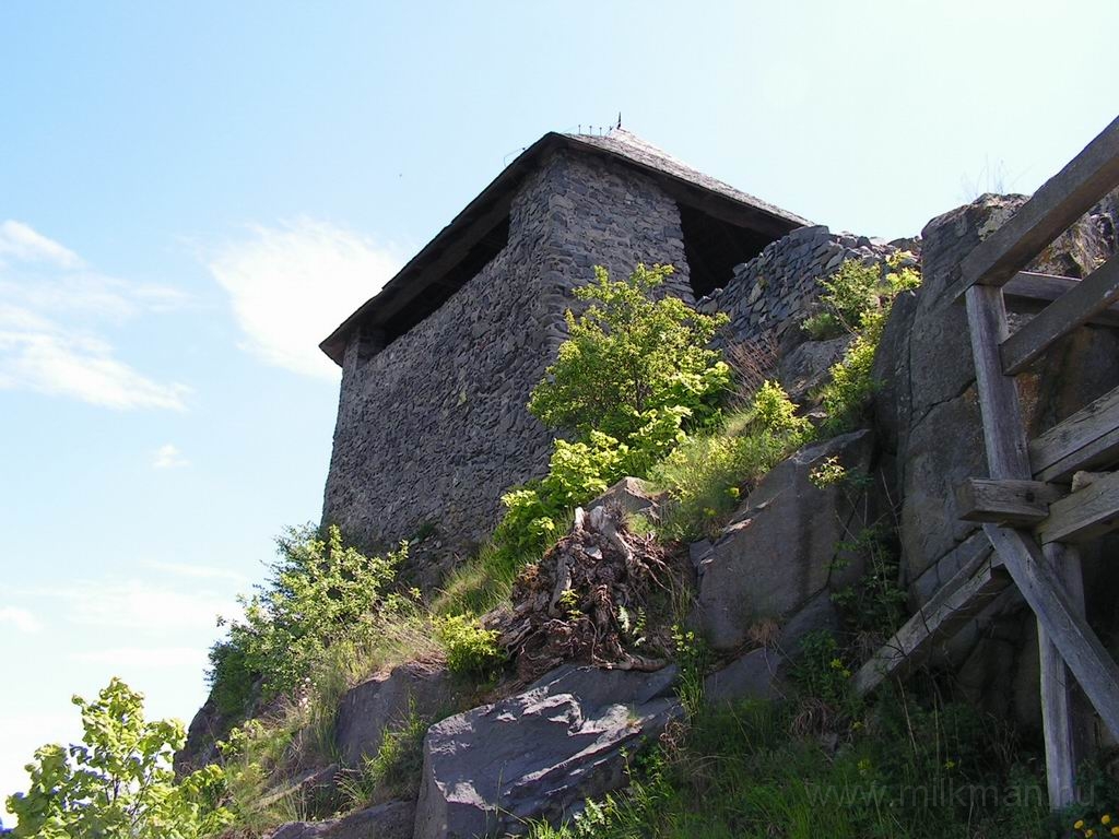 Resize_of_PICT7536.JPG