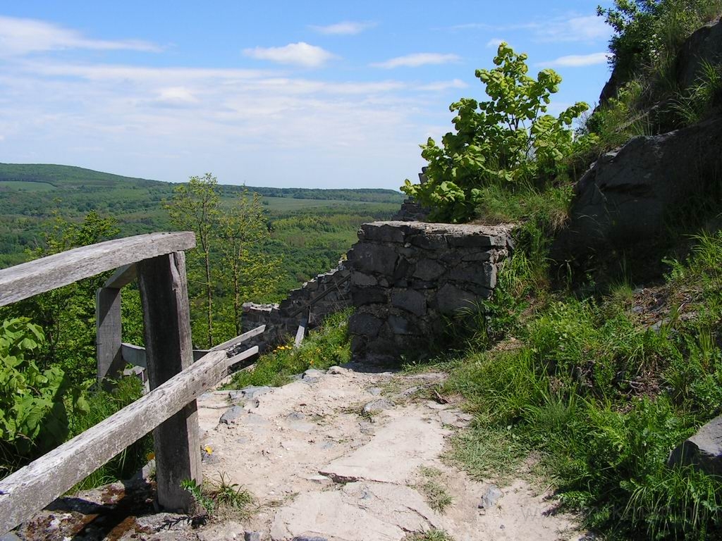 Resize_of_PICT7537.JPG