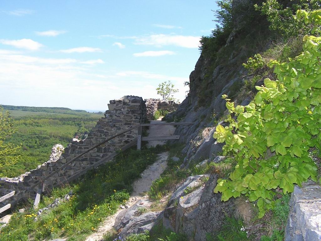 Resize_of_PICT7538.JPG