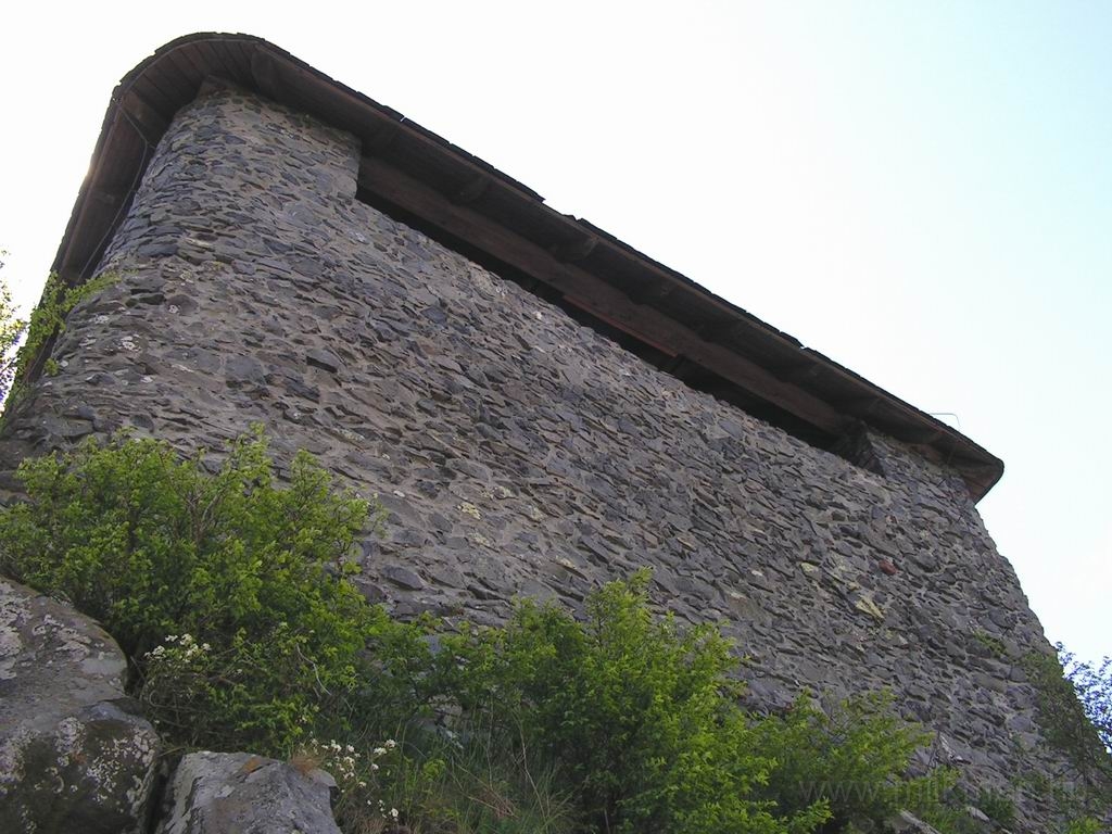 Resize_of_PICT7543.JPG