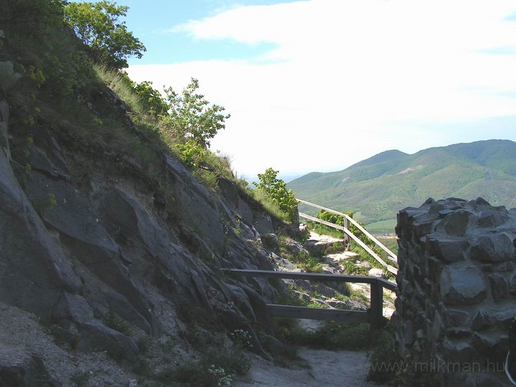 Resize_of_PICT7544.JPG