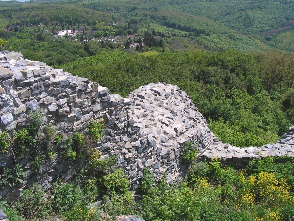 Resize_of_PICT7549.JPG