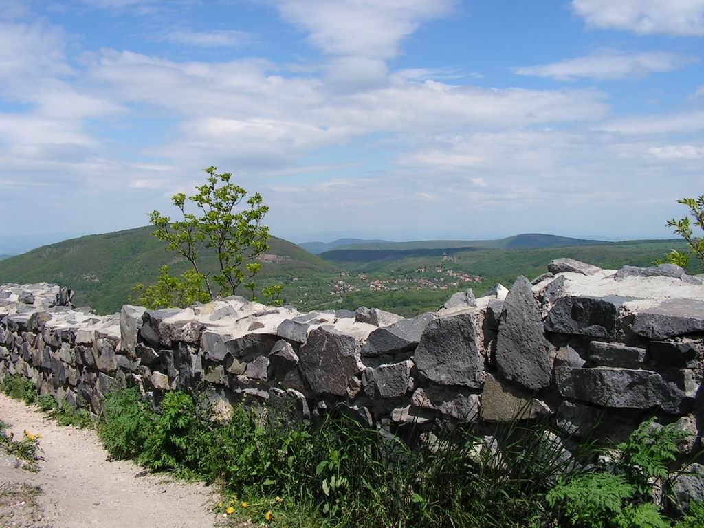 Resize_of_PICT7554.JPG