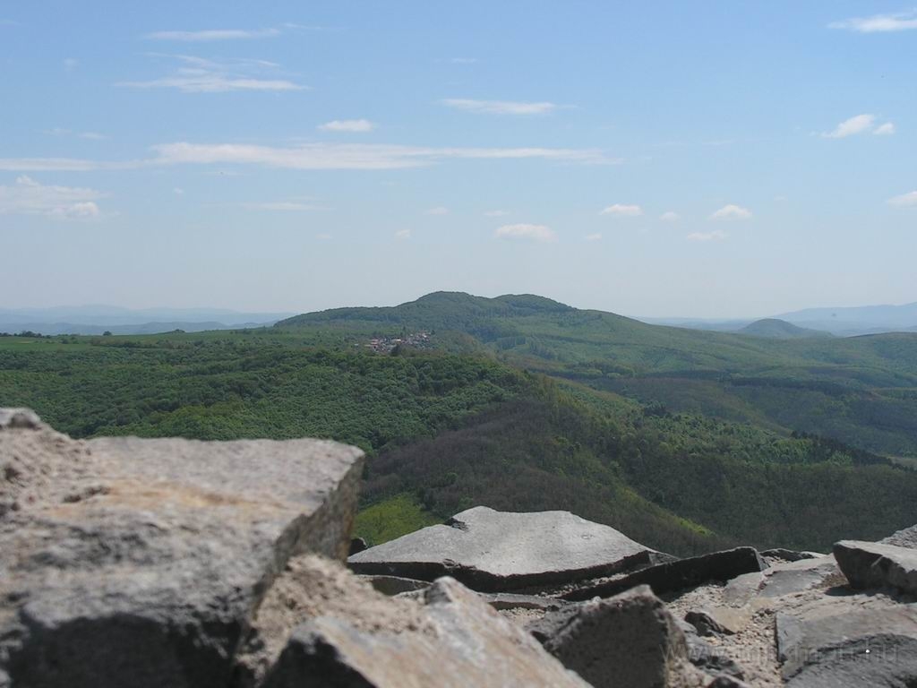 Resize_of_PICT7557.JPG
