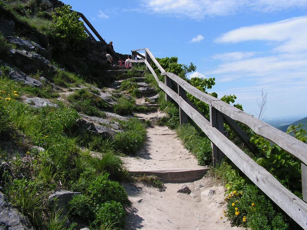 Resize_of_PICT7565.JPG