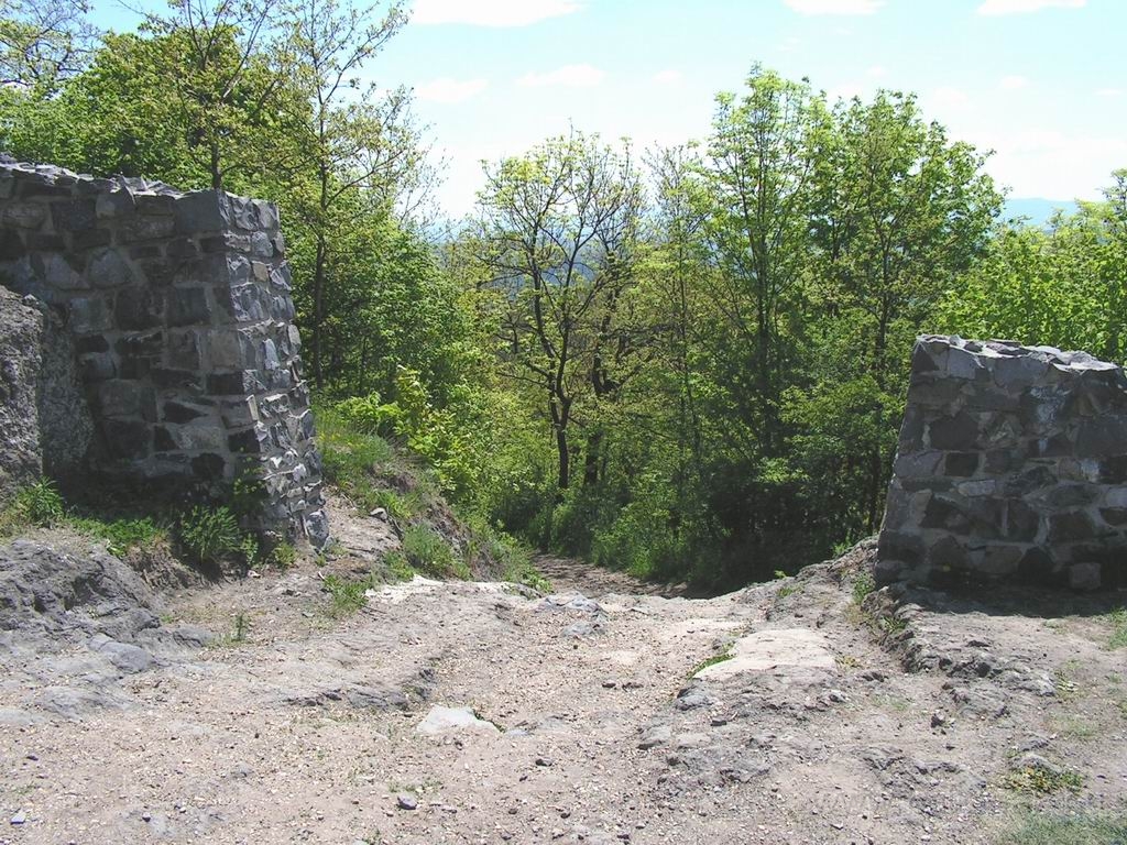 Resize_of_PICT7573.JPG
