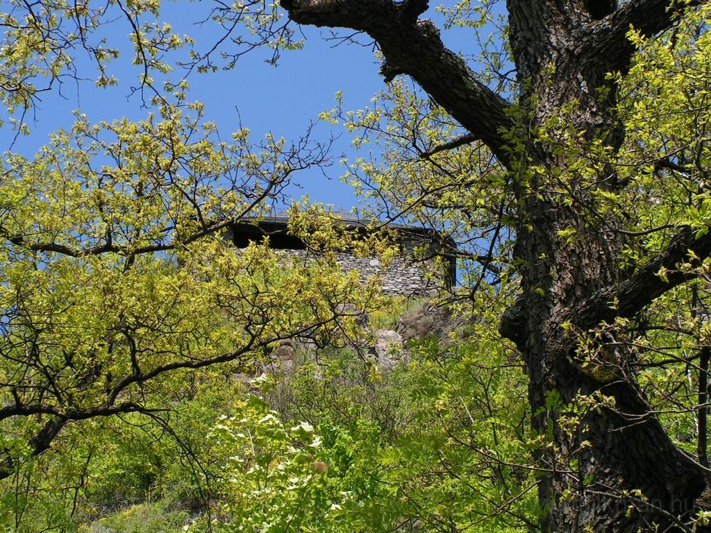 Resize_of_PICT7590.JPG
