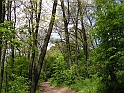 Resize_of_PICT7436
