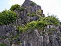 Resize_of_PICT7447