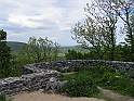Resize_of_PICT7448