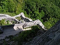 Resize_of_PICT7503