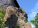 Resize_of_PICT7551