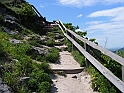 Resize_of_PICT7565