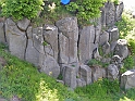 Resize_of_PICT7572