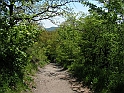 Resize_of_PICT7581
