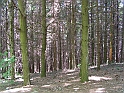 Resize_of_PICT7596