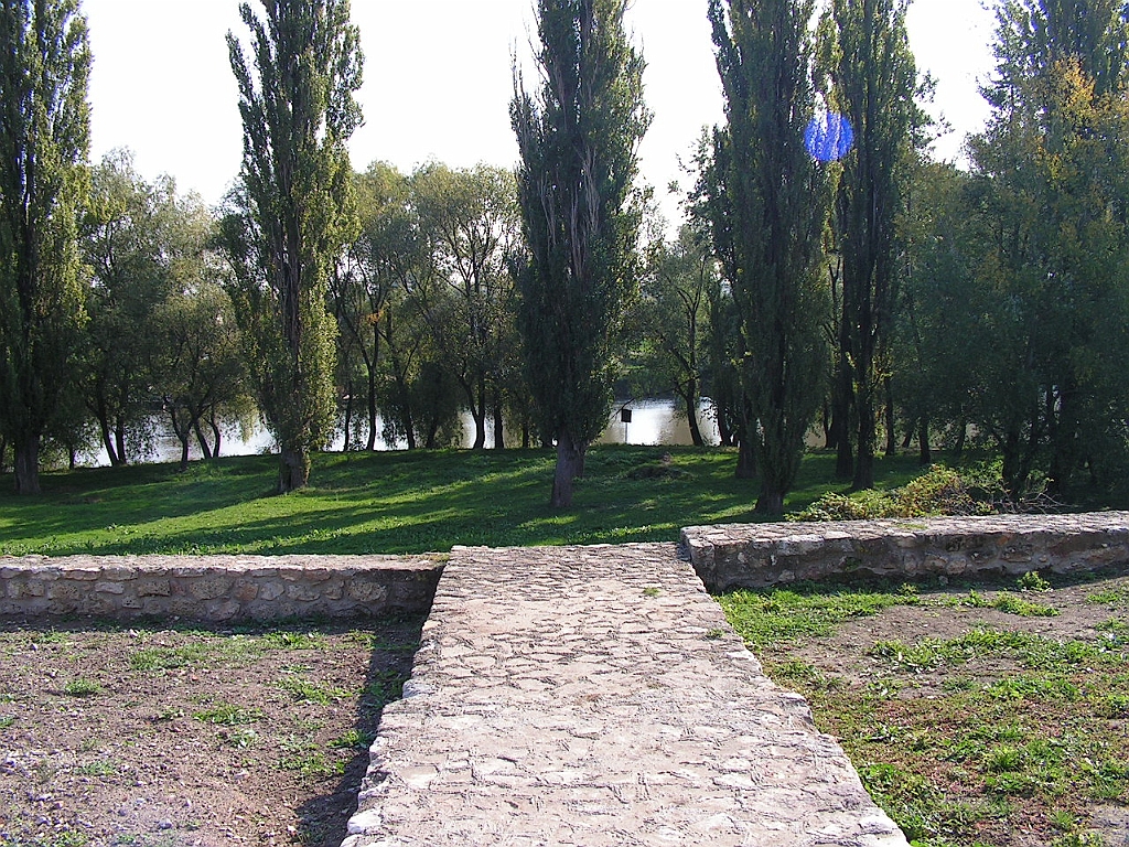PICT5040.JPG