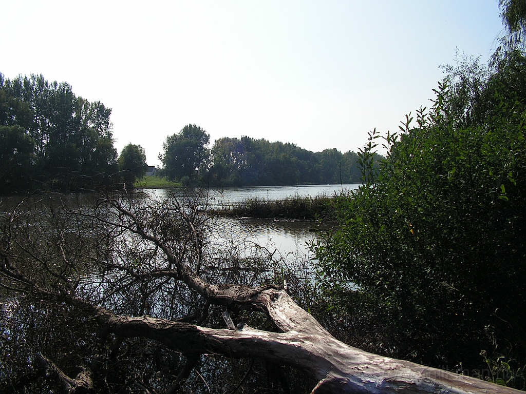 PICT5051.JPG
