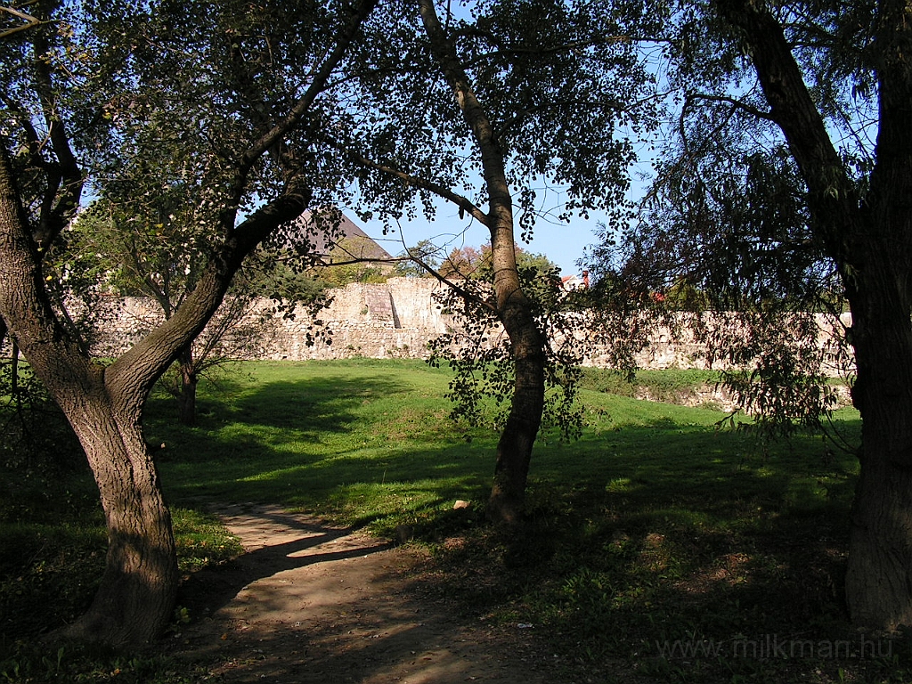 PICT5055.JPG