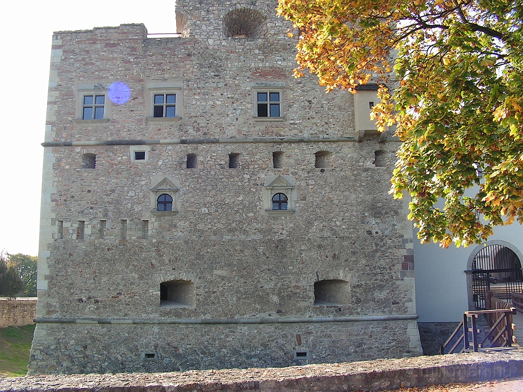 PICT5155.JPG
