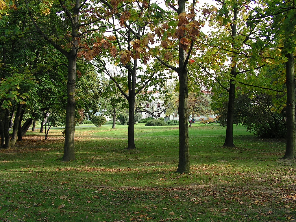 PICT5167.JPG