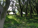 PICT5049