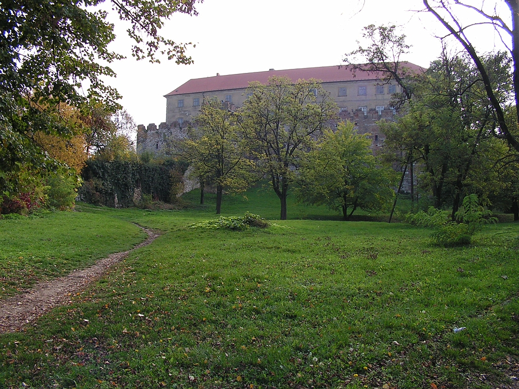 PICT0003.JPG