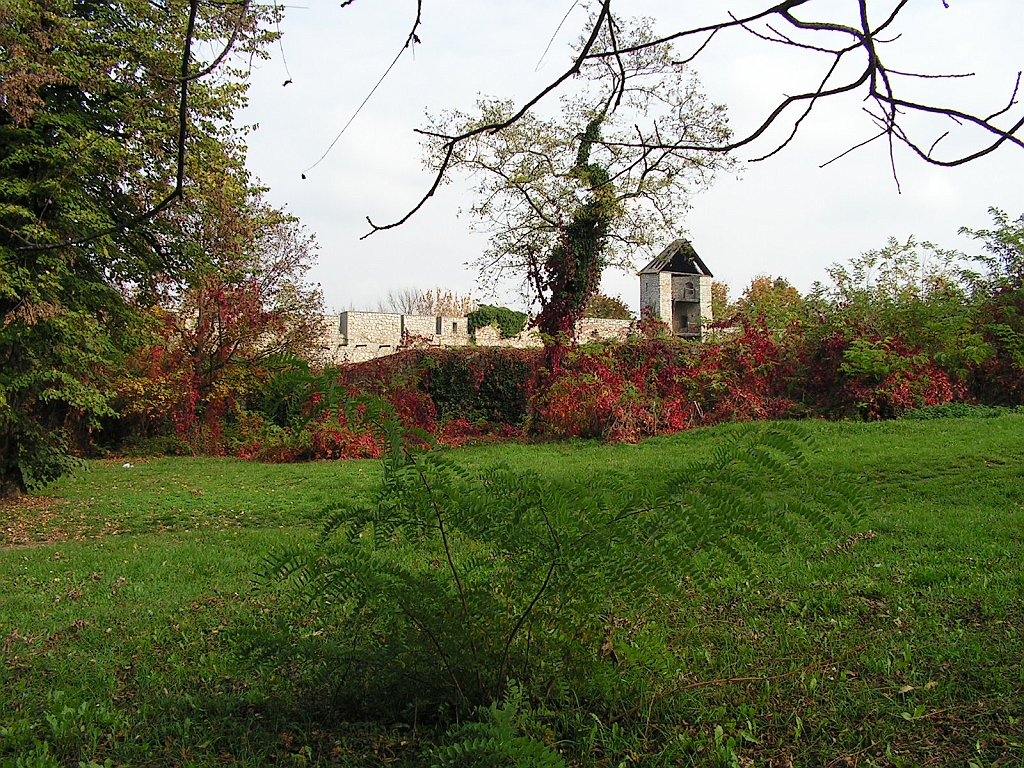 PICT0004.JPG
