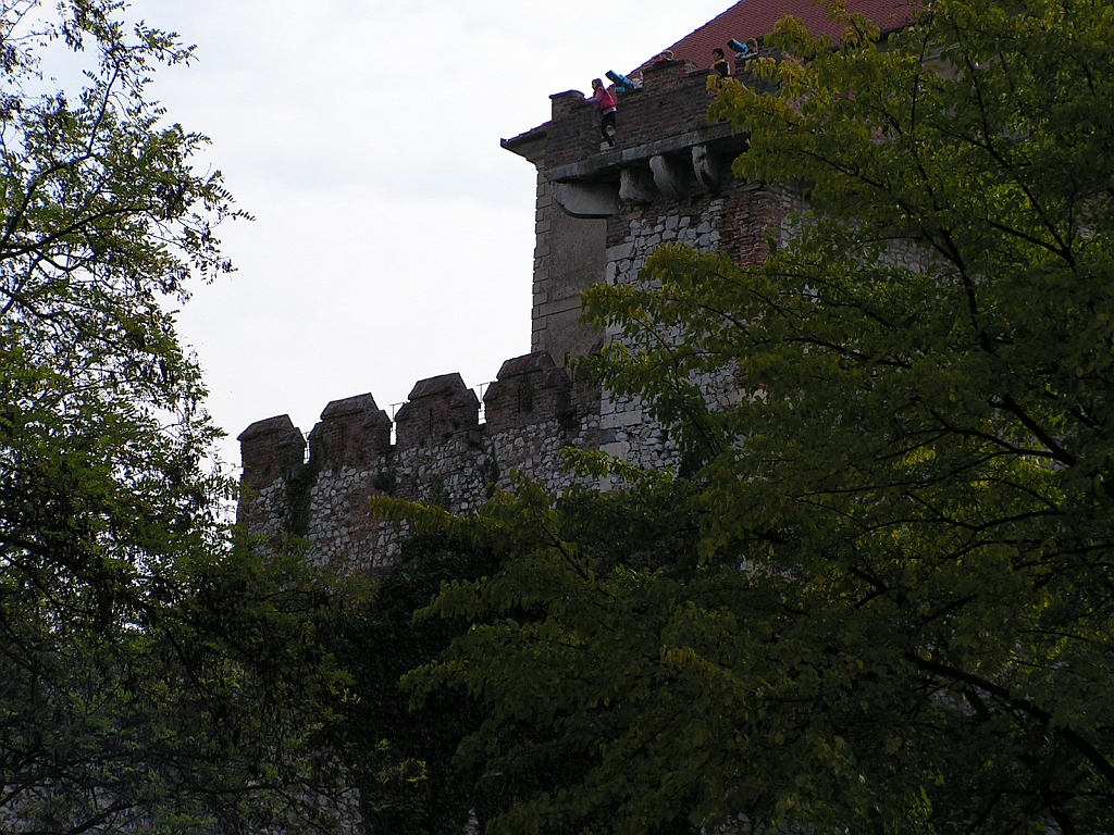 PICT0007.JPG