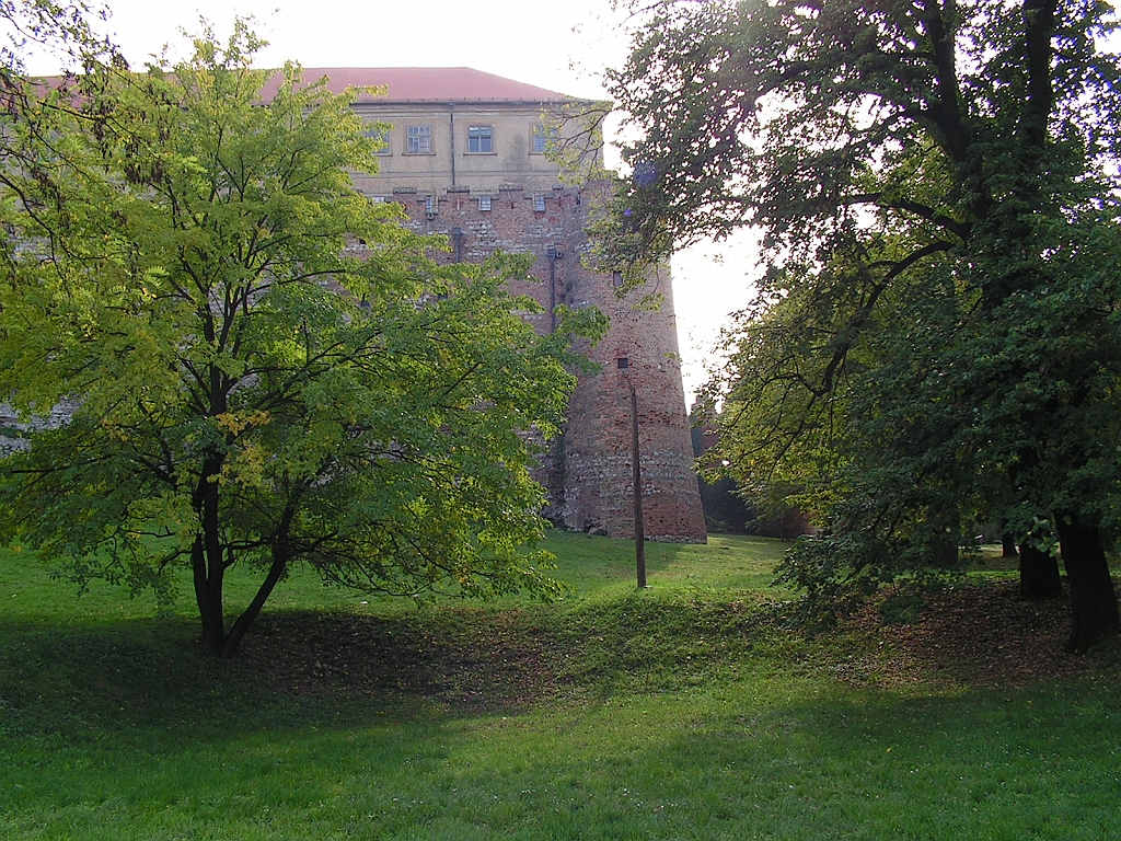 PICT0009.JPG
