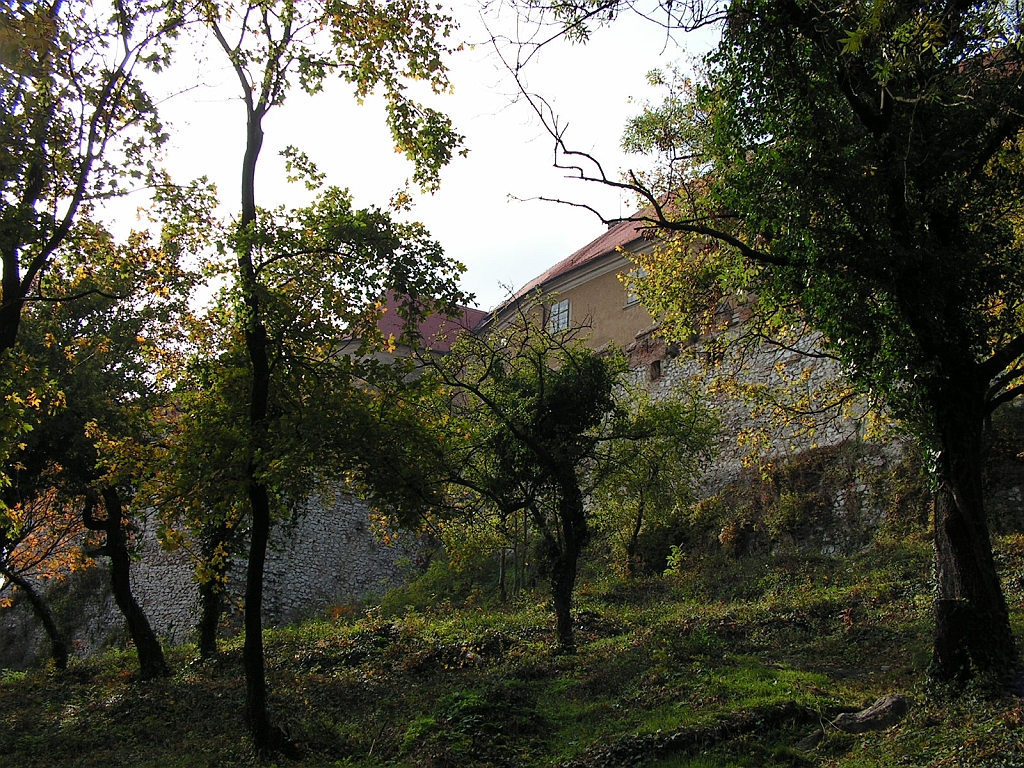 PICT0022.JPG