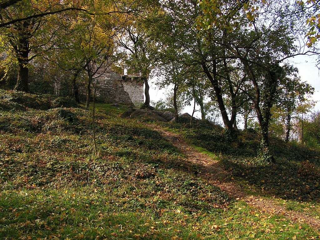 PICT0023.JPG