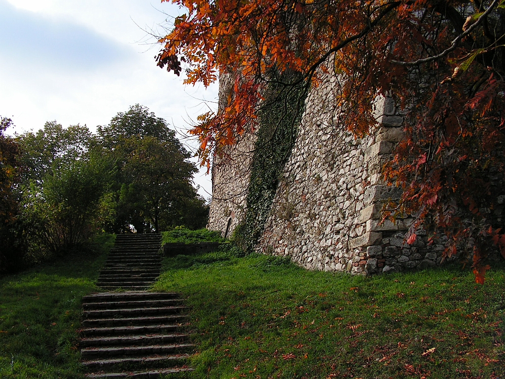 PICT0029.JPG