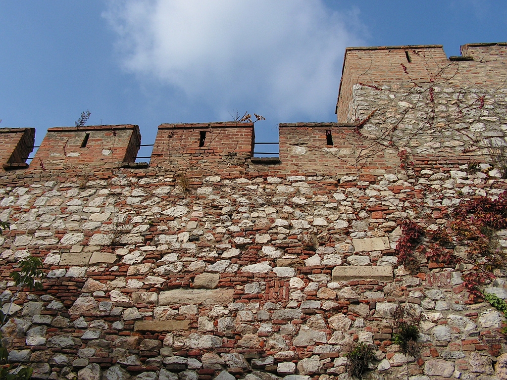 PICT0038.JPG