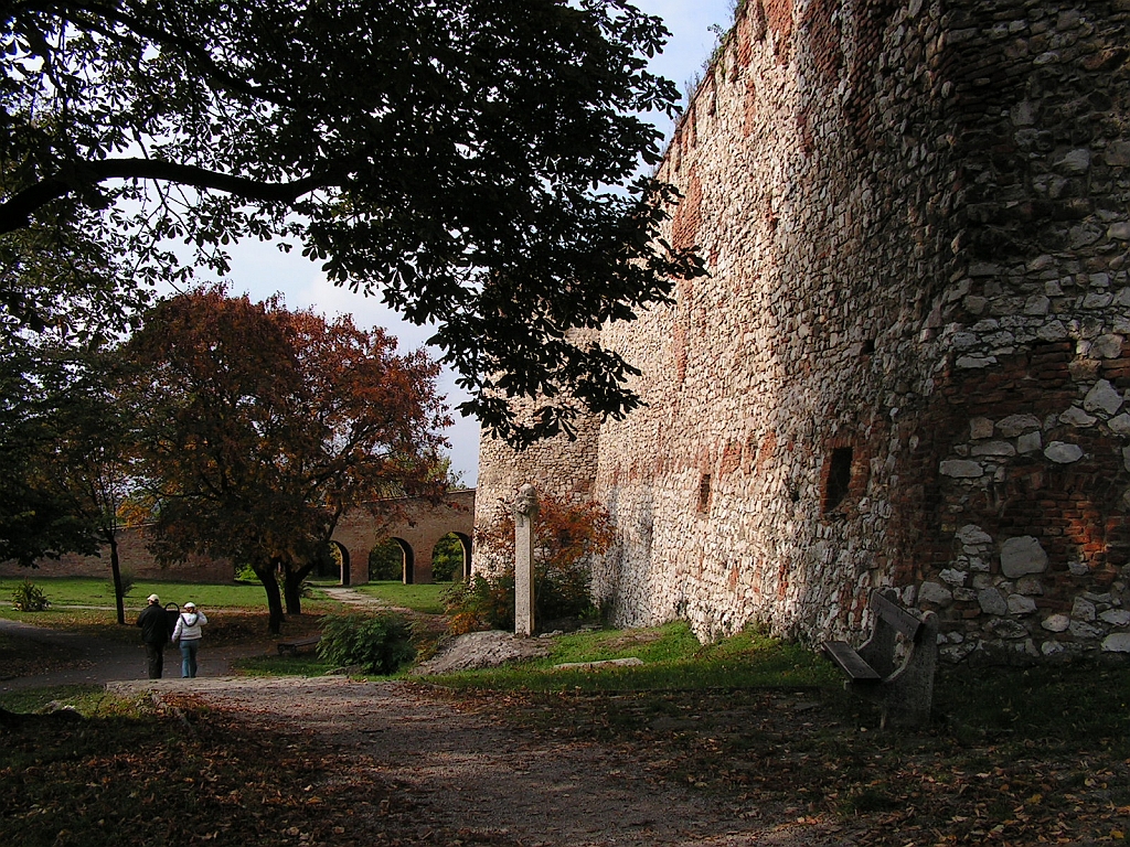 PICT0040.JPG