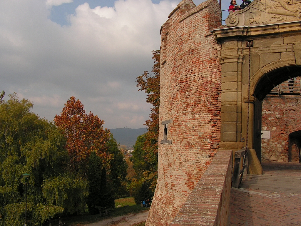PICT0061.JPG
