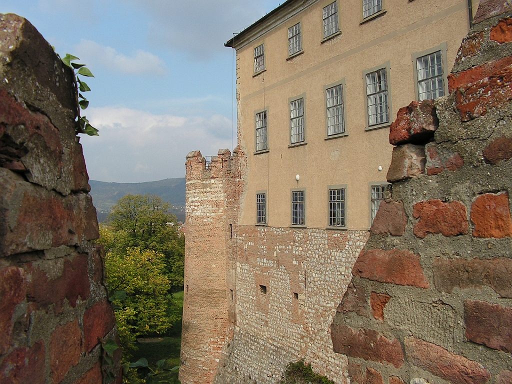 PICT0078.JPG