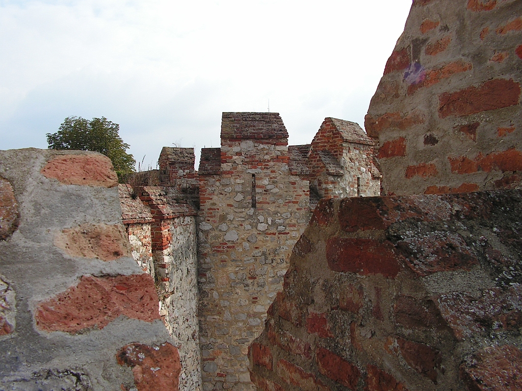 PICT0095.JPG