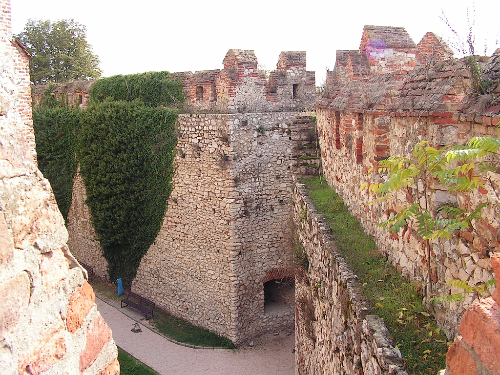 PICT0100.JPG