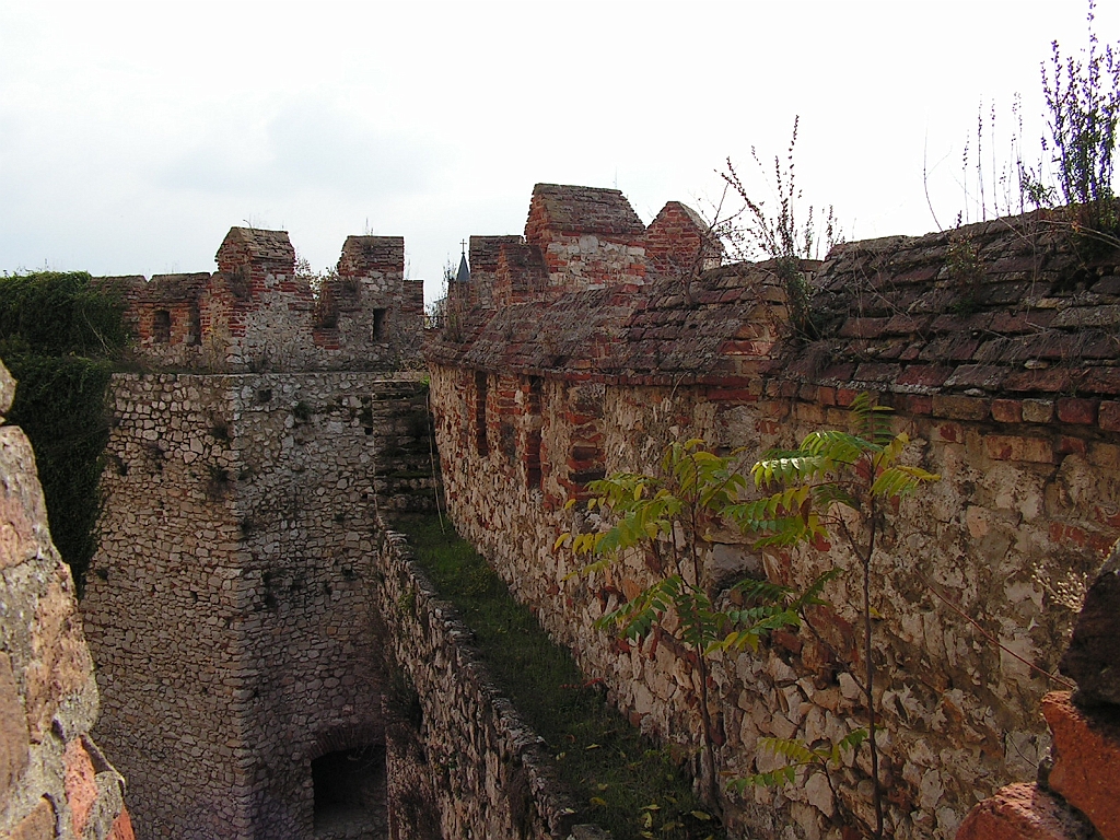 PICT0101.JPG