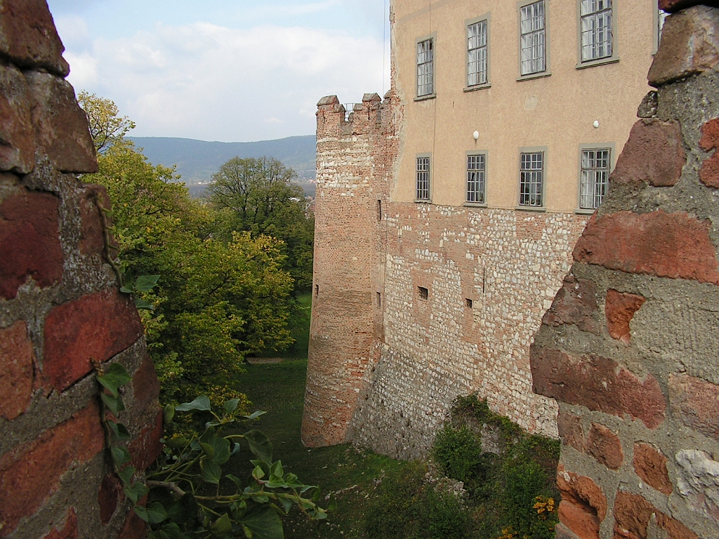 PICT0120.JPG